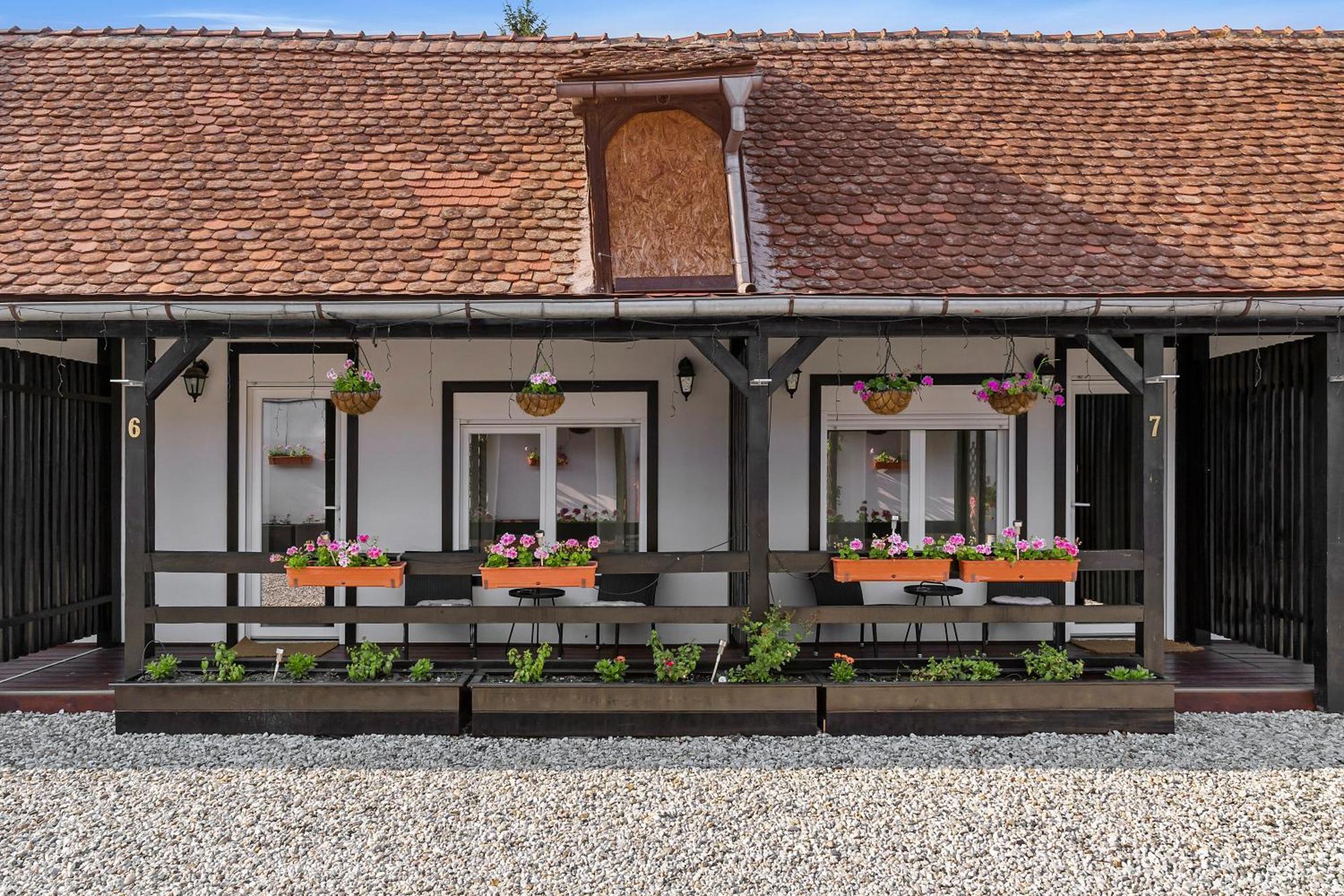Pensiunea Alina "Adults Only" Sibiu Eksteriør billede