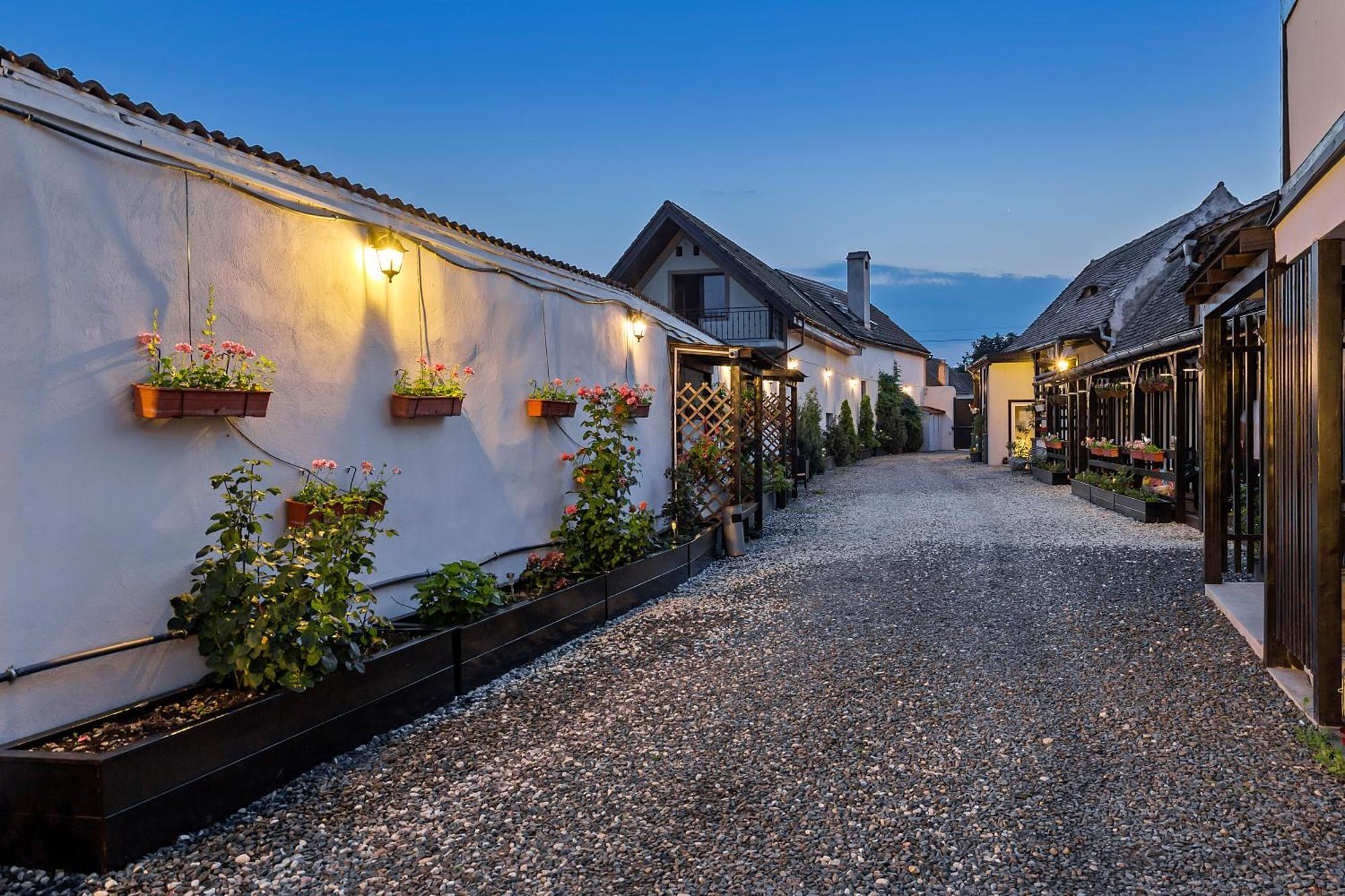 Pensiunea Alina "Adults Only" Sibiu Eksteriør billede